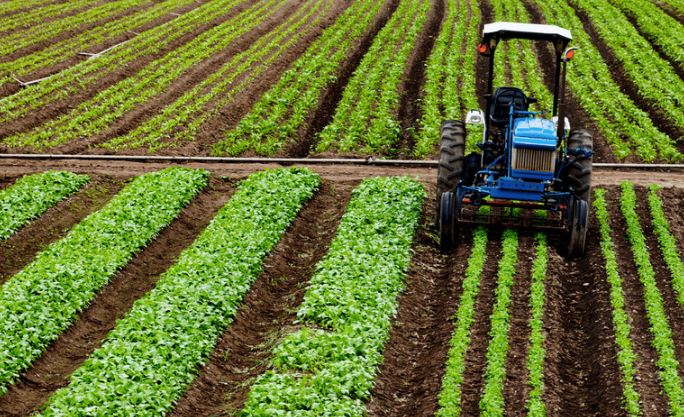 agricultura