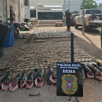Polícia Civil apreende mais de 900 quilos de pescado irregular e desarticula esquema de pesca predatória em Cuiabá