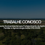 ICV abre seleção para consultoria técnica de campo em Alta Floresta