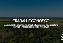 ICV abre seleção para consultoria técnica de campo em Alta Floresta