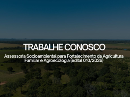 ICV abre seleção para consultoria técnica de campo em Alta Floresta