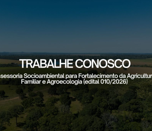 ICV abre seleção para consultoria técnica de campo em Alta Floresta