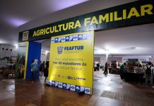 FIT Pantanal 2026 amplia oportunidades de negócios para artesãos e agricultores familiares de Mato Grosso