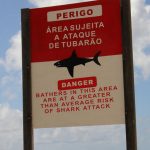 Dois ataques de tubarão em menos de 24 horas assustam Pernambuco