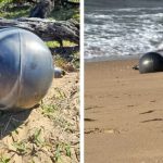 Bolas de titânio vindas do espaço assustam praia na Austrália