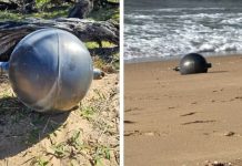 Bolas de titânio vindas do espaço assustam praia na Austrália