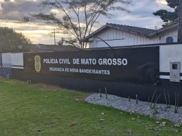 Polícia Civil prende dois suspeitos de homicídio em garimpo de MT