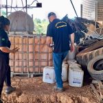 Fiscalização identifica falhas graves de segurança em silos durante ação no norte de Mato Grosso