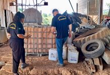 Fiscalização identifica falhas graves de segurança em silos durante ação no norte de Mato Grosso