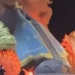 Incêndio destrói imagem de Nossa Senhora Aparecida na entrada de Nerópolis