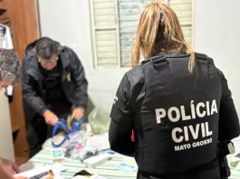 Polícias Civis de MT e do Piauí deflagram operação para combater família especializada em estelionato digital