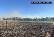 Incêndio atinge vegetação e mobiliza moradores na zona rural