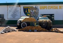 Forças de segurança apreendem 306 kg de drogas na fronteira de MT e geram prejuízo de R$ 1,2 milhão às facções criminosas