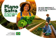 Plano Safra da Agricultura Familiar 2026/2027 prevê 85,2 bilhões para operações do Pronaf