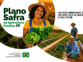 Plano Safra da Agricultura Familiar 2026/2027 prevê 85,2 bilhões para operações do Pronaf
