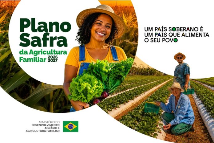 banner plano safra