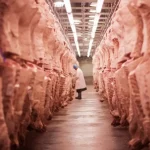 Exportações de carne bovina do Brasil batem recorde histórico em 2026