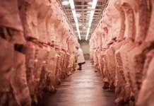 Exportações de carne bovina do Brasil batem recorde histórico em 2026