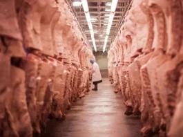 Exportações de carne bovina do Brasil batem recorde histórico em 2026