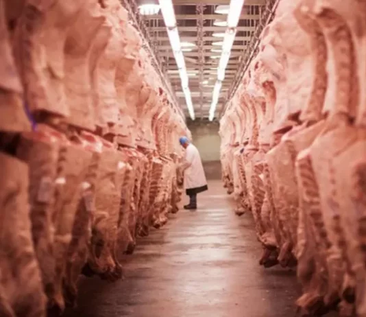 Carne de MT chega a 88 países e movimenta US$ 2,4 bilhões