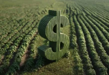Inadimplência no agro atinge 8,8% e bate novo recorde no Brasil