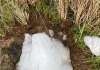 Pedra de gelo gigante, com quase 5 kg, despenca do céu em Aratuba e intriga moradores