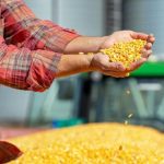 MP de dívida rural deve priorizar produtores afetados por perdas climáticas