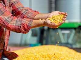 MP de dívida rural deve priorizar produtores afetados por perdas climáticas