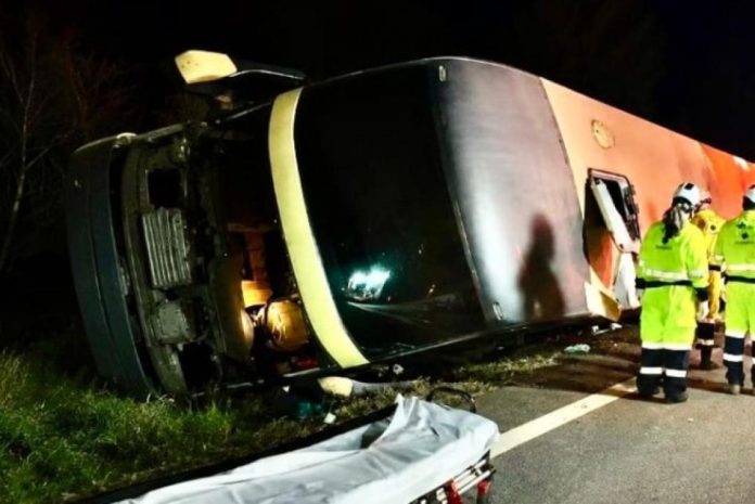 oniibus