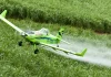 Intoxicações por agrotóxicos crescem e acendem alerta no Brasil