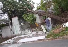Ventos acima de 100 km/h colocam São Paulo em alerta
