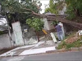 Ventos acima de 100 km/h colocam São Paulo em alerta
