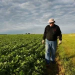 Escassez de mão de obra afeta 94,8% dos produtores rurais brasileiros