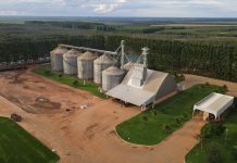 Déficit de armazenagem desafia avanço do agronegócio brasileiro