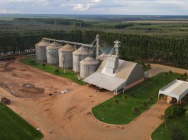 Déficit de armazenagem desafia avanço do agronegócio brasileiro