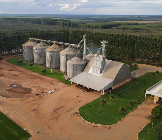 Déficit de armazenagem desafia avanço do agronegócio brasileiro
