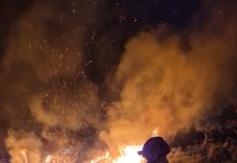 Bombeiros combatem incêndio em área de preservação em Alta Floresta