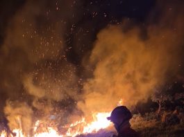 Bombeiros combatem incêndio em área de preservação em Alta Floresta