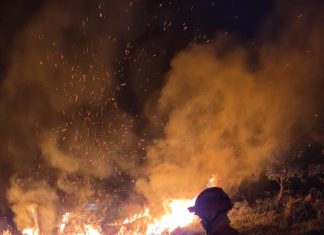 Bombeiros combatem incêndio em área de preservação em Alta Floresta