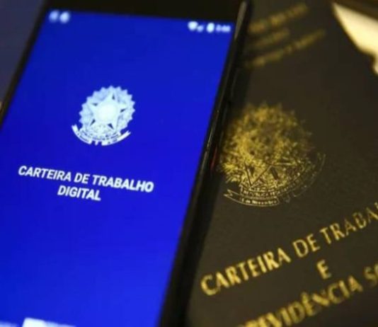 Google, bancos e Petrobras lideram sonho dos jovens para trabalhar