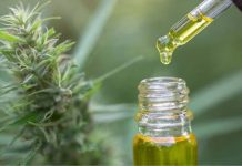 Mato Grosso prepara nova compra de canabidiol para pacientes do SUS