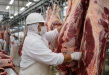 Mais de 90% dos frigoríficos auditados em MT cumprem TAC da Carne, afirma MPF