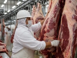 Mais de 90% dos frigoríficos auditados em MT cumprem TAC da Carne, afirma MPF