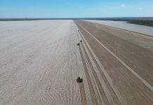 Colheita de algodão em MT chega a 88,66% e deve acabar em setembro