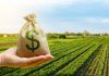 Crédito privado do agro supera R$ 1,34 trilhão no início da safra
