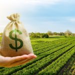 Crédito privado do agro supera R$ 1,34 trilhão no início da safra