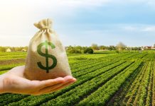 Crédito privado do agro supera R$ 1,34 trilhão no início da safra