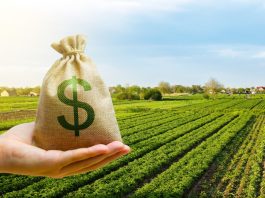 Crédito privado do agro supera R$ 1,34 trilhão no início da safra