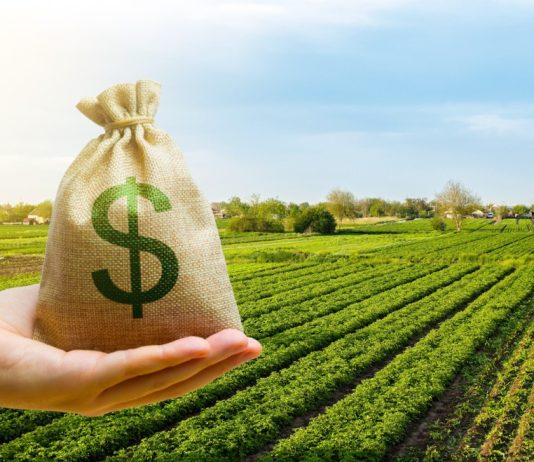Crédito privado do agro supera R$ 1,34 trilhão no início da safra