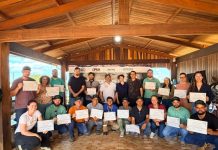 Curso fortalece manejo florestal e capacita profissionais em MT